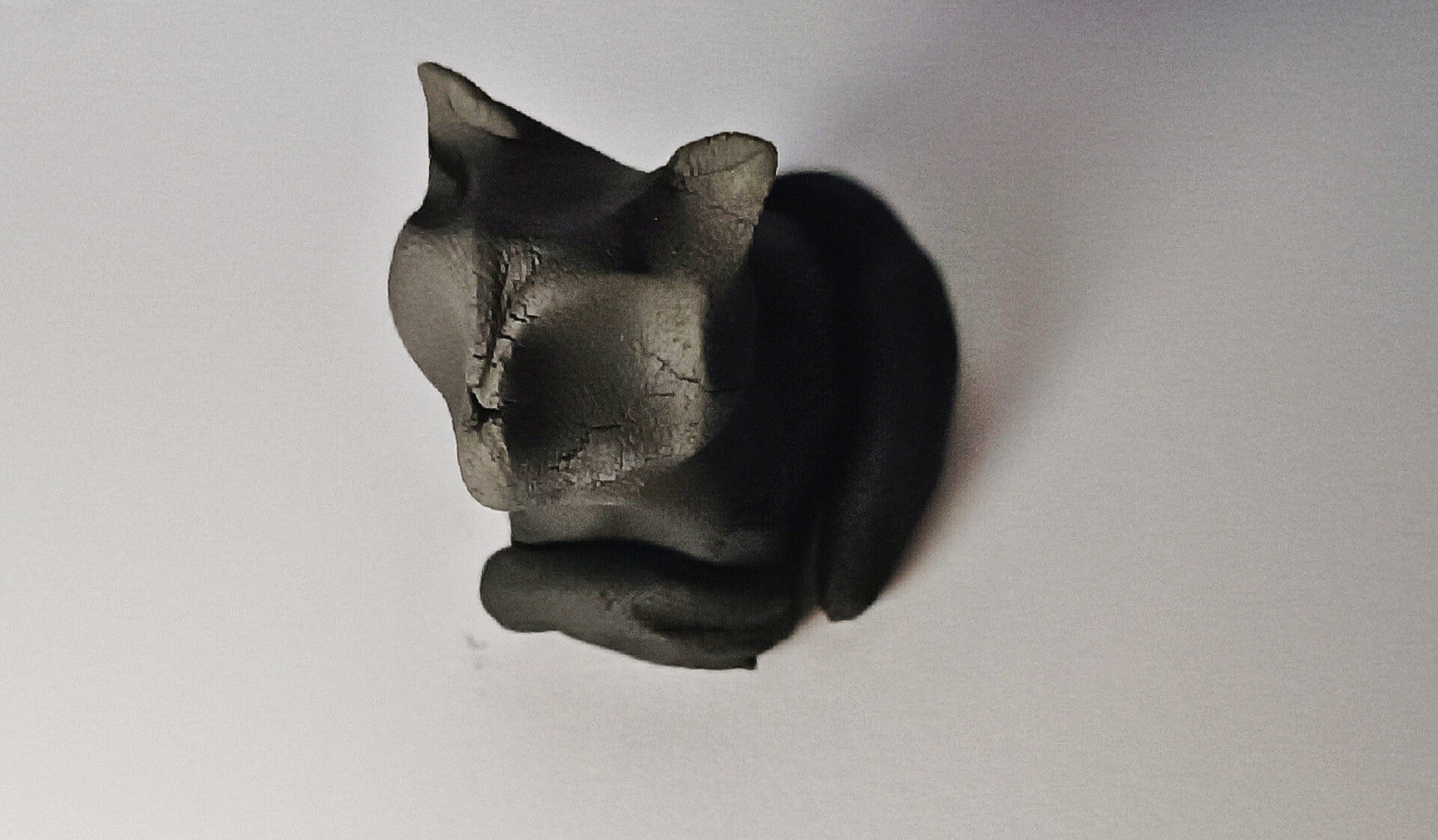 Le chat de la sorcière