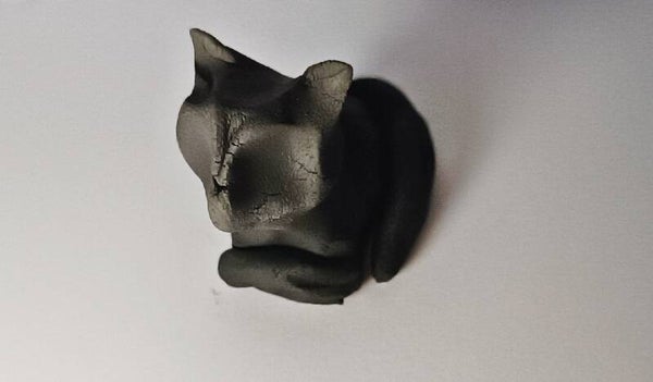 Le chat de la sorcière
