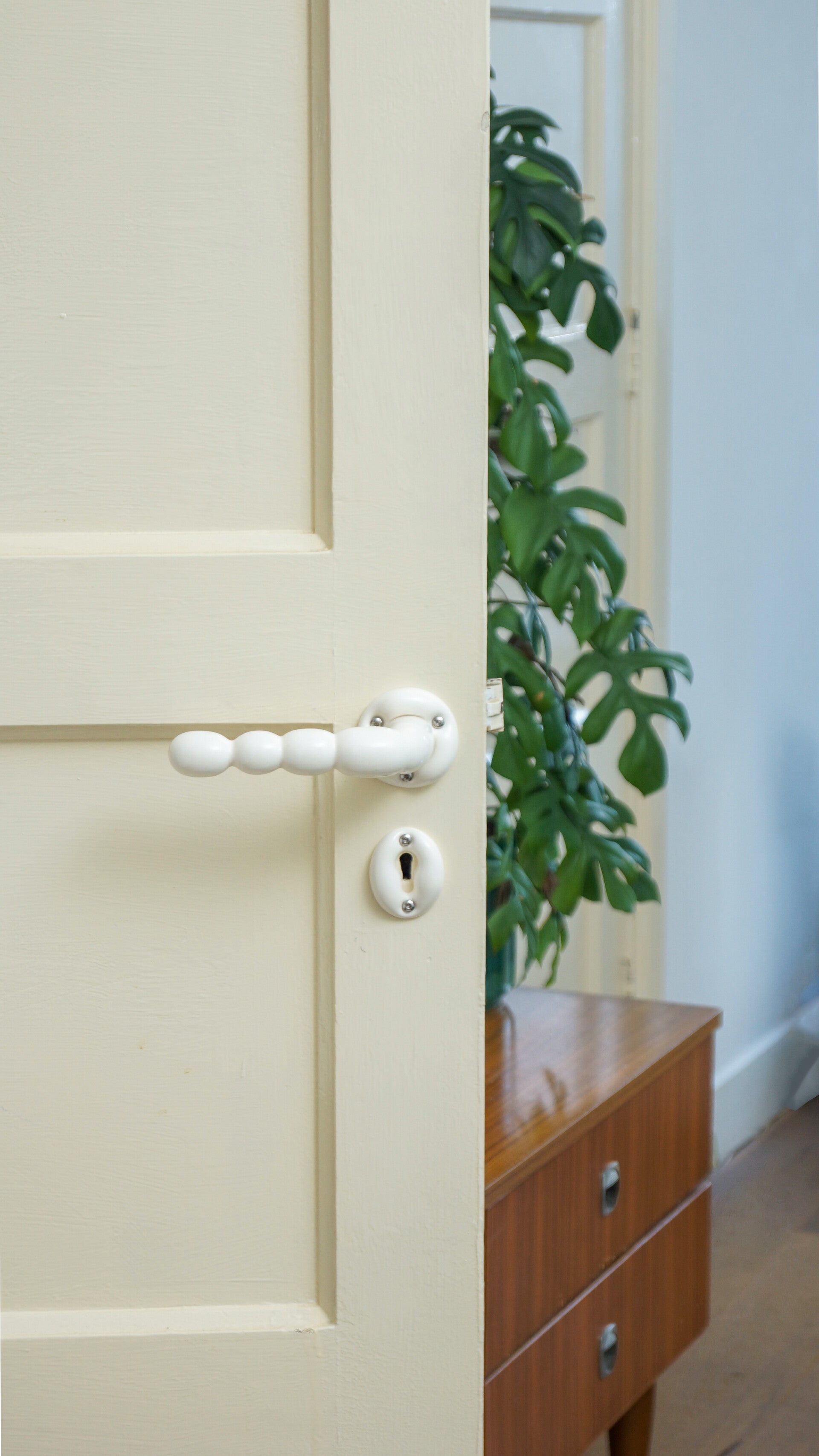 Panel door doorhandle