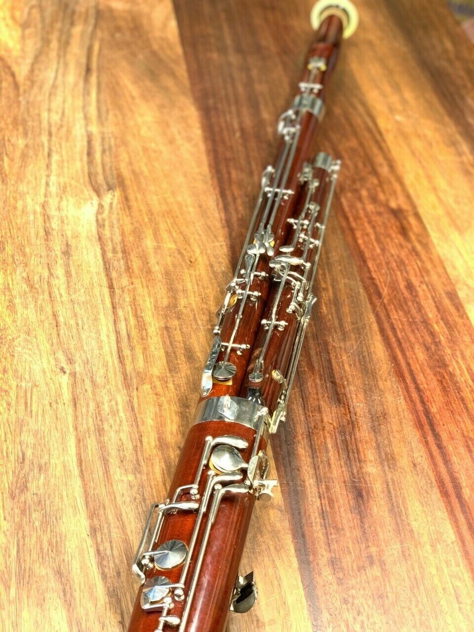 Fagott / Fächer Sing und Musikschule im Landkreis Kronach