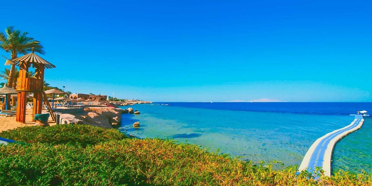 Mare Queen Sharm