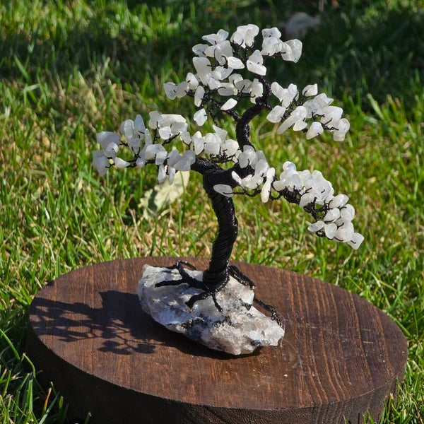 Edelsteenboom regenboog maansteen