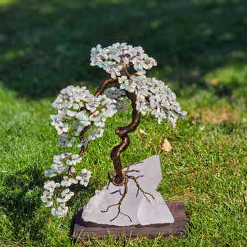 Edelsteenboom Aquamarijn