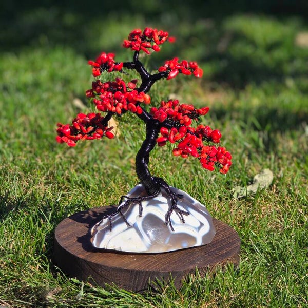 Edelsteenboom koraal