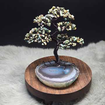 Edelsteenboom Afrikaanse turkoois (jaspis)