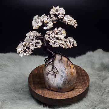 Edelsteenboom grijze maansteen