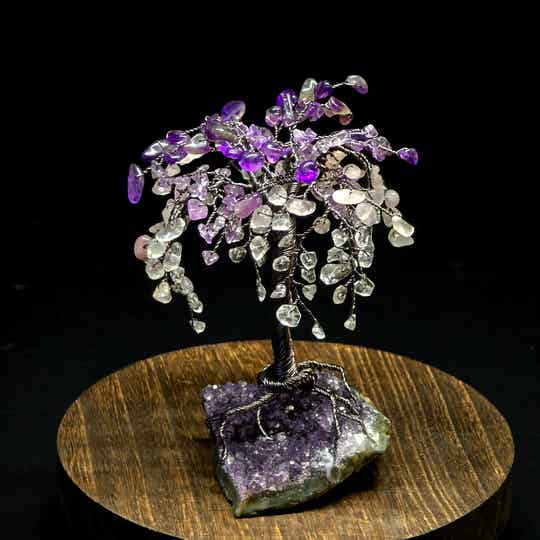 Edelsteenboom gouden driehoek