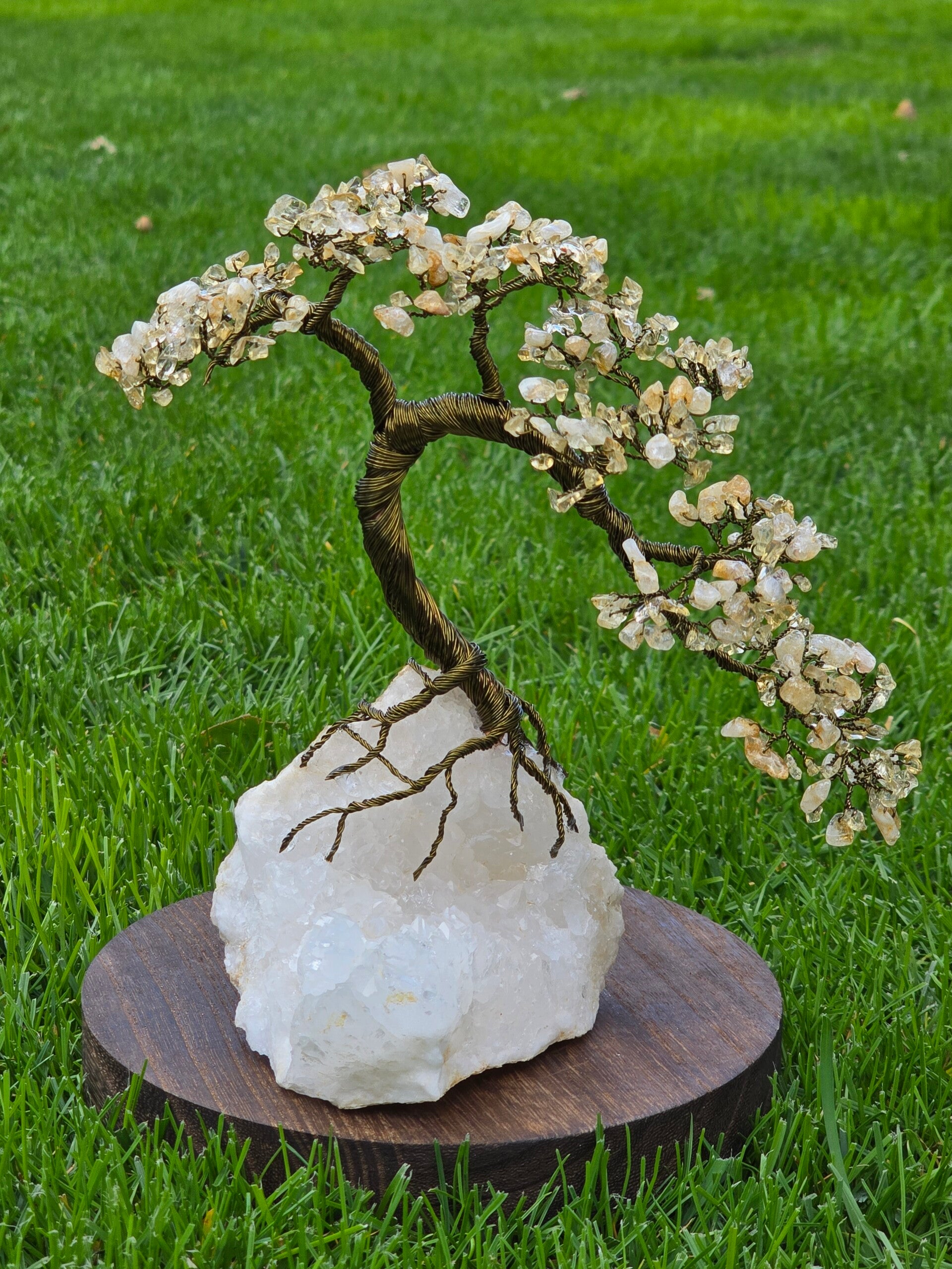 Edelsteenboom citrien (verhitte amethist)