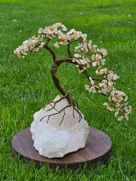 Edelsteenboom citrien (verhitte amethist)