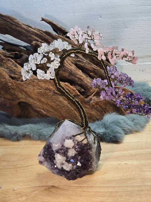 Edelsteenboom gouden driehoek