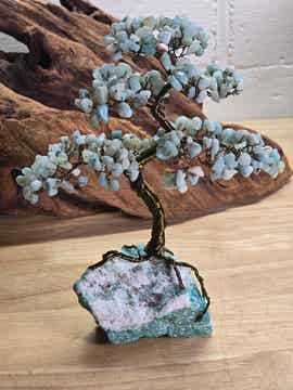 Edelsteenboom amazoniet