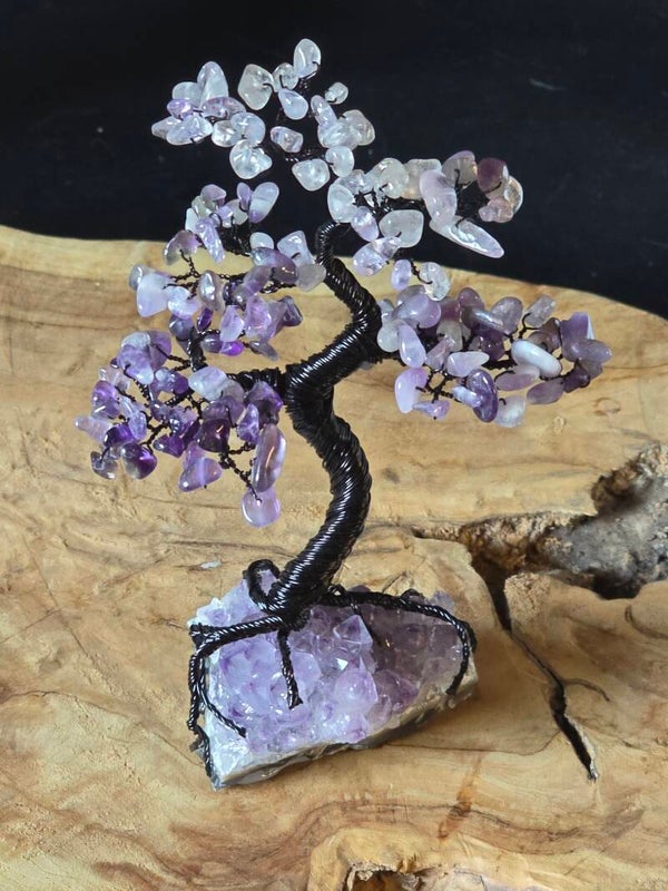 Edelsteenboom amethist