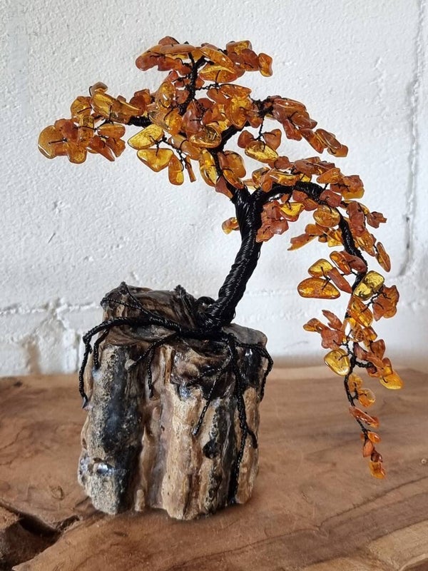 Edelsteenboom barnsteen