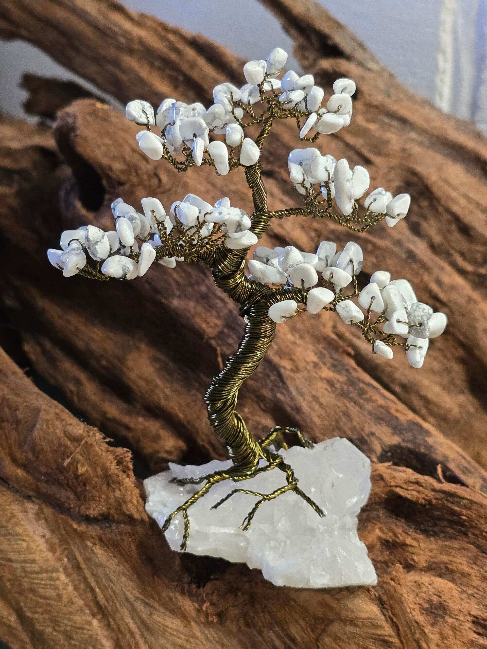 Edelsteenboom howliet