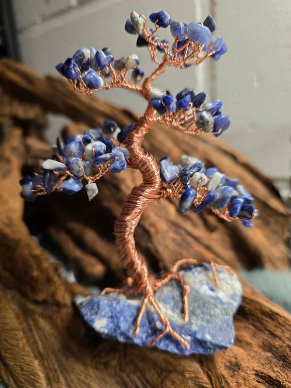 Edelsteenboom sodaliet