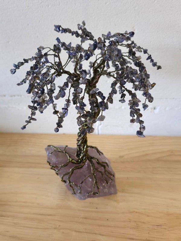 Edelsteenboom ioliet (watersaffier)