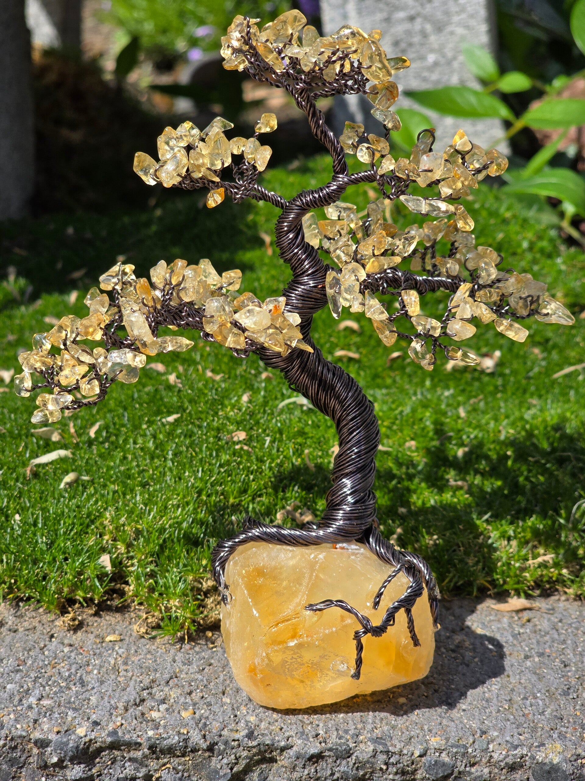 Edelsteenboom citrien (gebrande amethist)