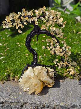 Edelsteenboom citrien (gebrande amethist)