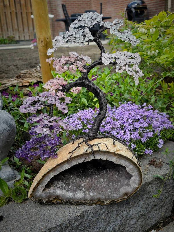 Edelsteenboom gouden driehoek