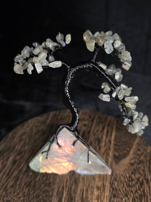 Edelsteenboom labradoriet