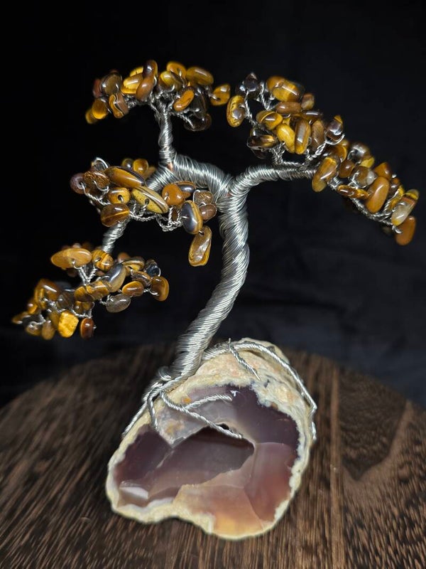 Edelsteenboom tijgeroog