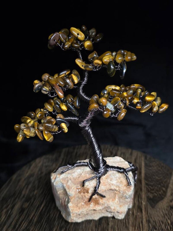 Edelsteenboom tijgeroog