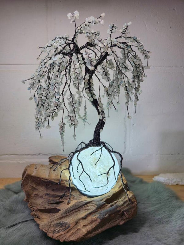 Edelsteenboom Aquamarijn