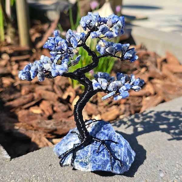Edelsteenboom sodaliet