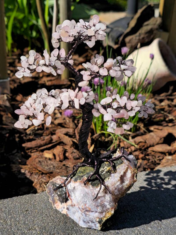 Edelsteenboom Rozenkwarts