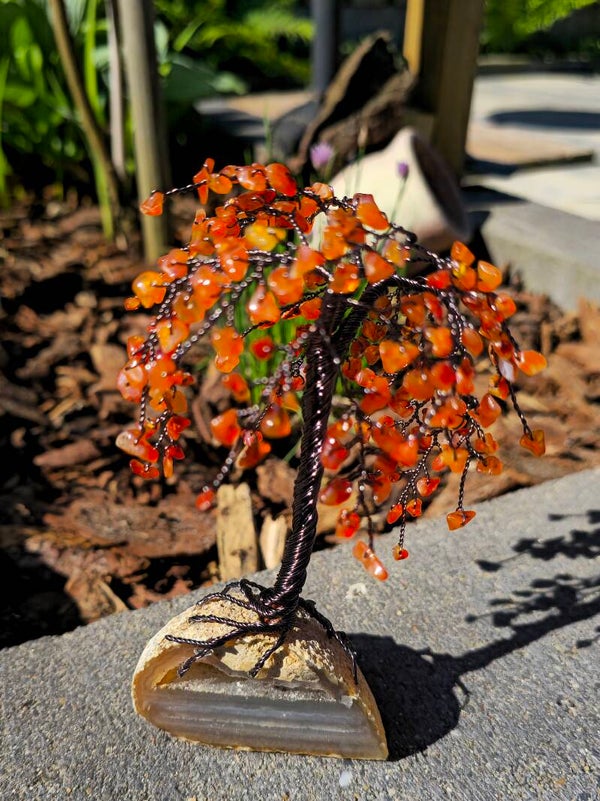 Edelsteenboom carneool