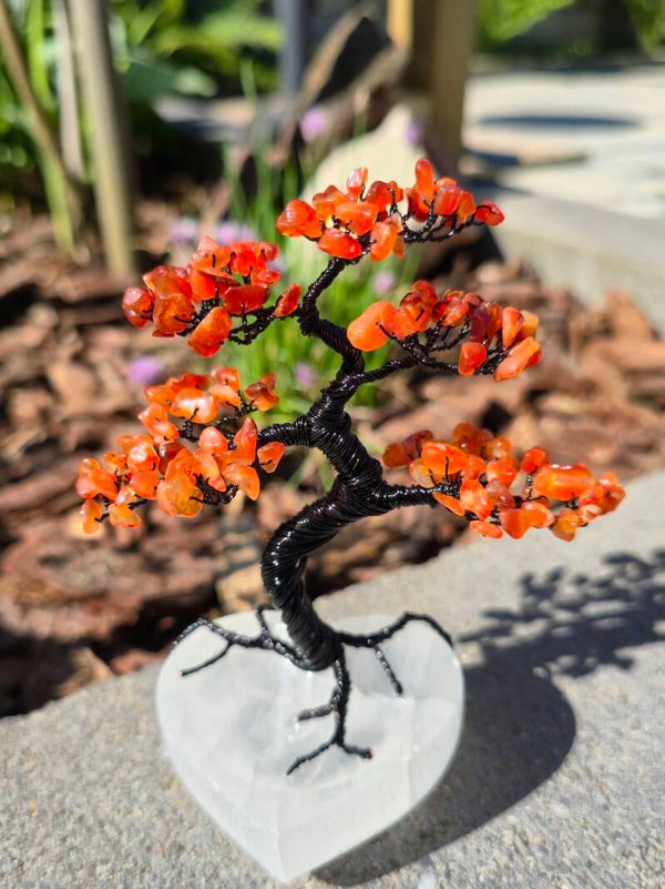 Edelsteenboom carneool