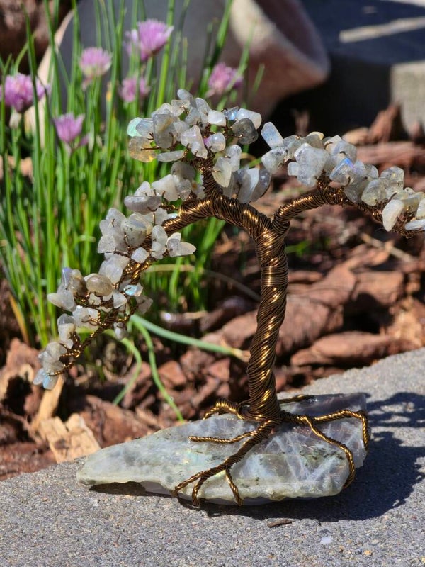 Edelsteenboom labradoriet