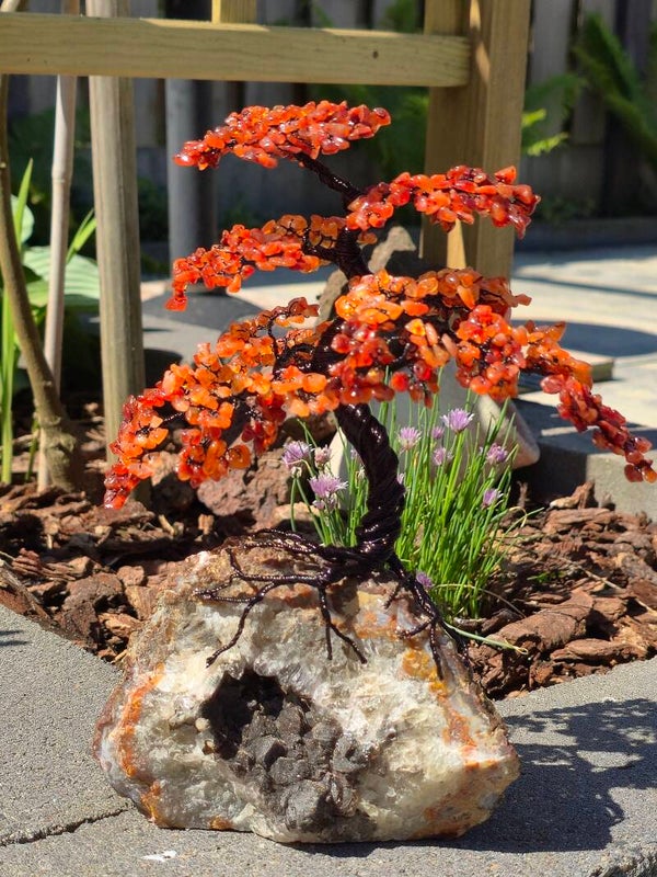 Edelsteenboom carneool