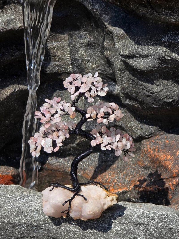 Edelsteenboom Rozenkwarts
