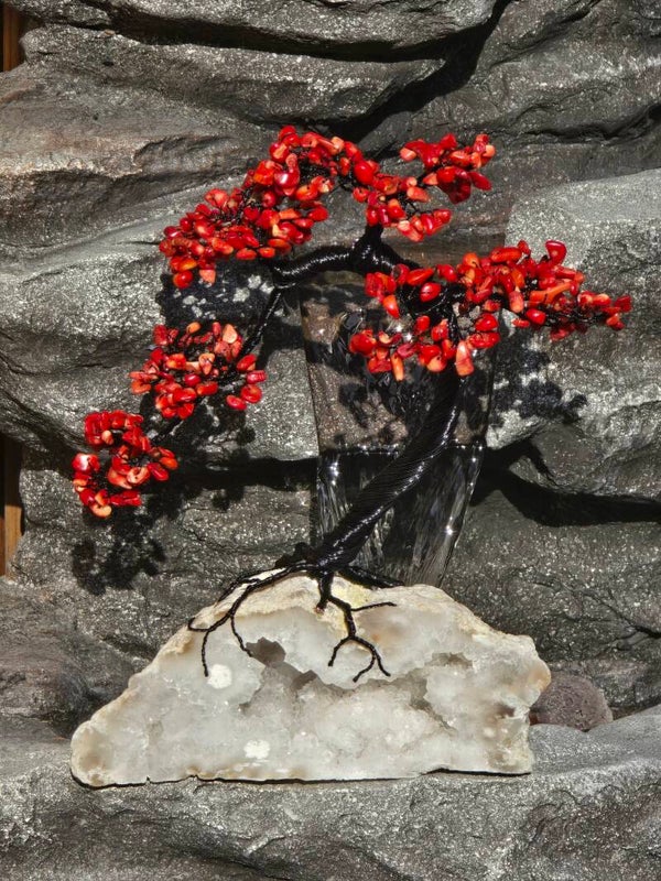 Edelsteenboom koraal