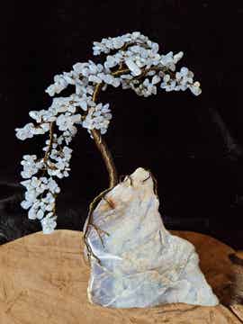 Edelsteenboom chalcedoon