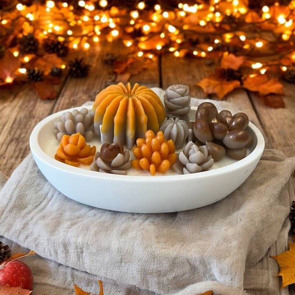 Bougie Cactus d'automne