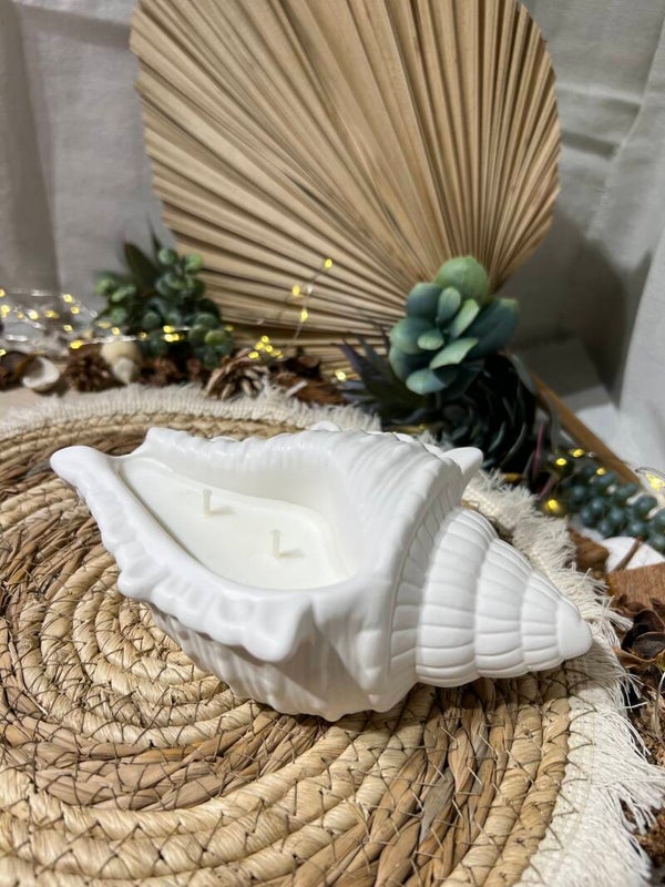 Coquillage en résine minérale