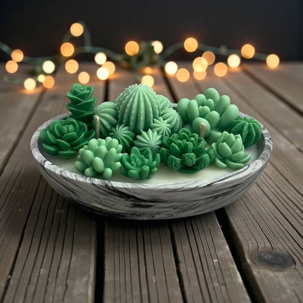 Bougie Cactus ovale Clémentine monoï