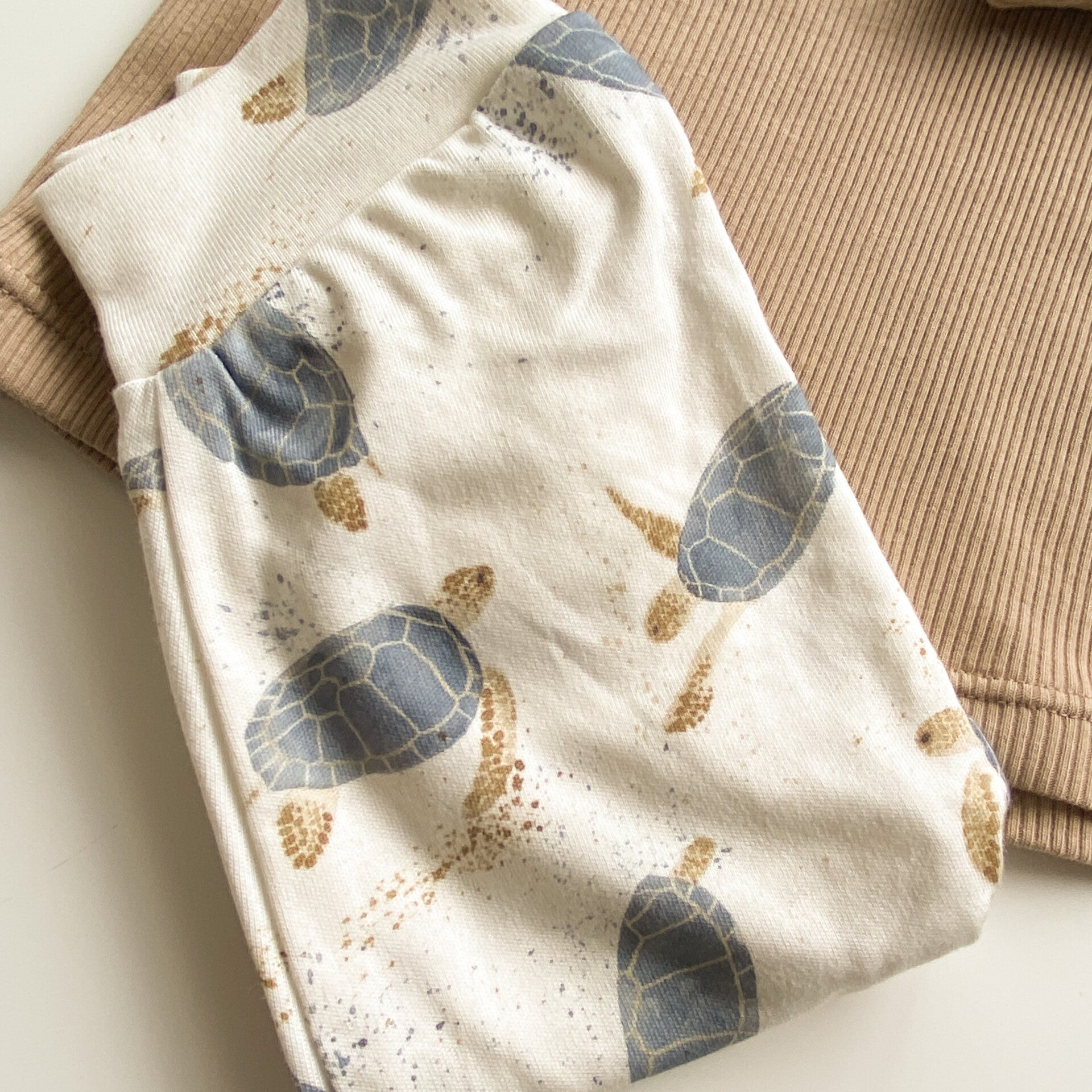 Broekje turtles