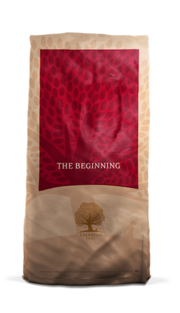 Essential foods - the beginning (pup/junior)