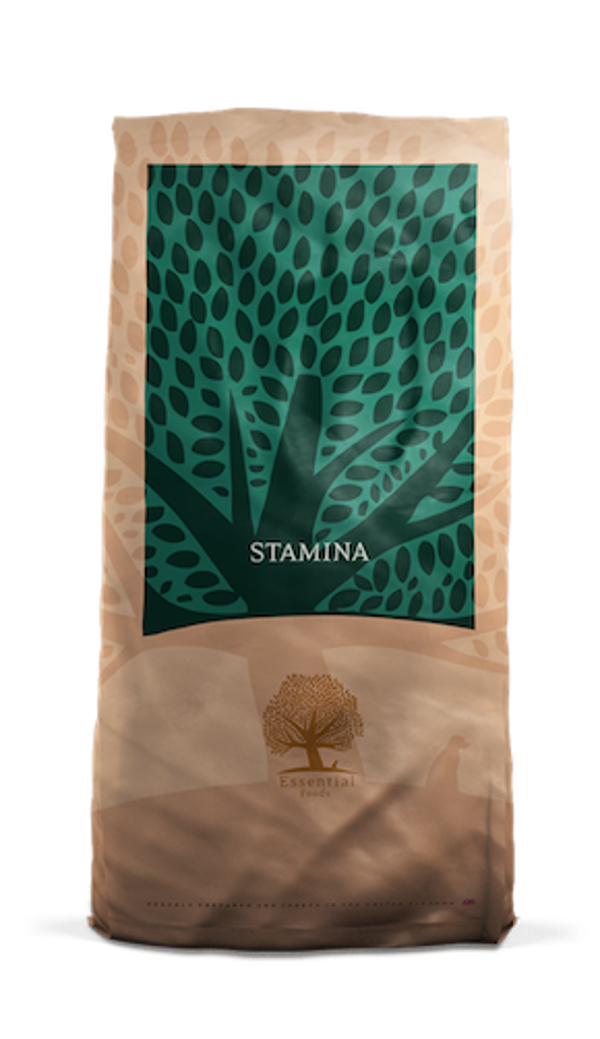 Essential foods - stamina