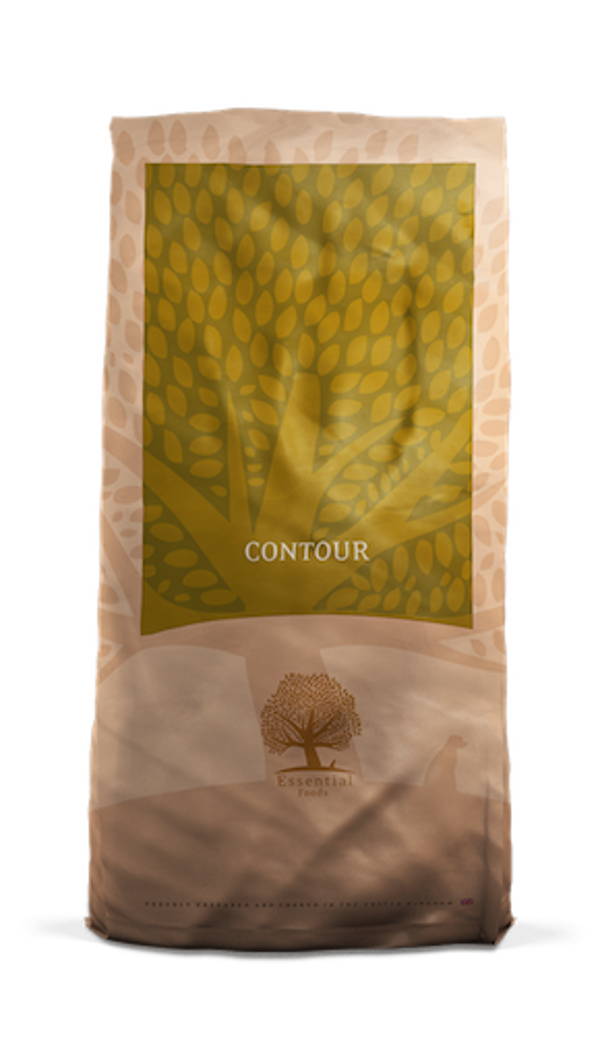 Essential foods - contour
