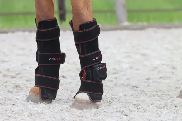 Beenpad ultimate