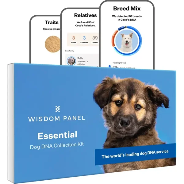 Wisdom panel DNA test - essential