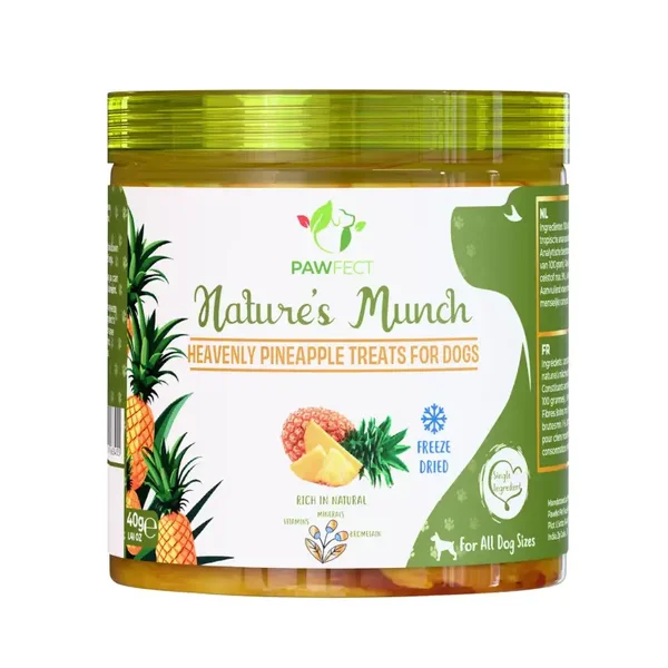 Pawfect snacks gevriesdroogde ananas 40 gr