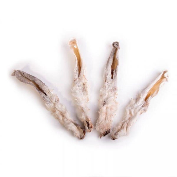 Kynobite konijnenoren met vacht