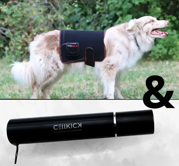 Combideal hond