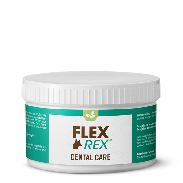 FlexRex dental care