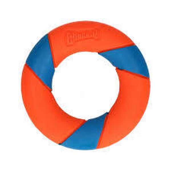 Chuckit ring